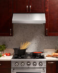 THOR Kitchen 30 Inch Professional Range Hood in Stainless Steel – Model TRH3006